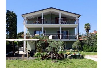 Horvātija Privát Lovrečica, Eksterjers